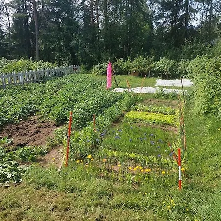 Backyard With Veranda By River In Keminmaa Apartmán